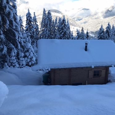 , Almhütte LISA, Hüttau, Salzburg, Salzburg, Austria