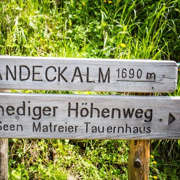 Wandergebiet, Landeckalm, Matrei in Osttirol, Tirol, Tirol, Österreich