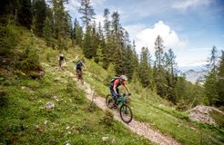 Bio- und Bikehotel Steineggerhof, Steinegg, Dolomiten, Trentino-Alto Adige, Italy (38/42)