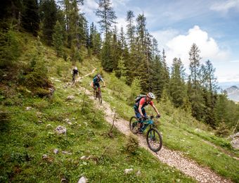 Top Angebot: Mountainbike-Singletrail-Woche Sommer  - Bio- und Bikehotel Steineggerhof