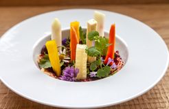 Biohotel Steineggerhof: Veganer Humus - Bio- und Bikehotel Steineggerhof, Steinegg, Dolomiten, Trentino-Südtirol, Italien