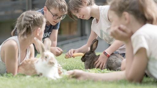 Das Bergdorf Malbun ist eine alpine Spielwiese für Familienaktivitäten im Sommer.