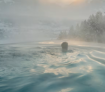 Angebot: Spring.Reset - DAS.GOLDBERG