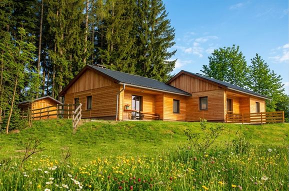 Summer, Langhans Hütte 1, St. Gertraud - Lavanttal, Kärnten, Carinthia , Austria