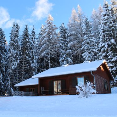 Winter, Langhans Hütte 1, St. Gertraud - Lavanttal, Kärnten, Carinthia , Austria