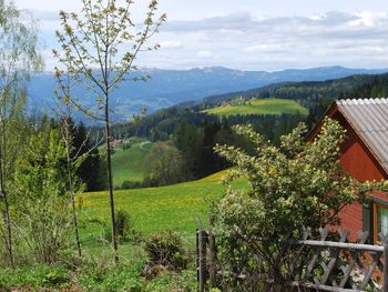 Langhans Hütte 2 - Carinthia  - Austria