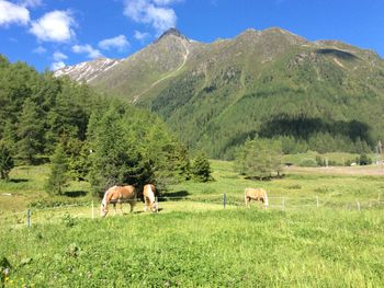 Bergkristall Hütte - Tirol - Österreich