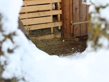 Heidi Hütte  - Carinthia  - Austria