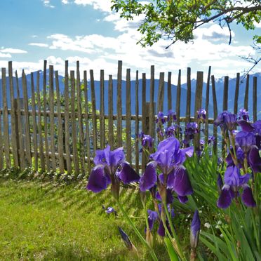 Sommer, Kohlstatt Hütte, Vöran, Trentino-Südtirol, Trentino-Südtirol, Italien