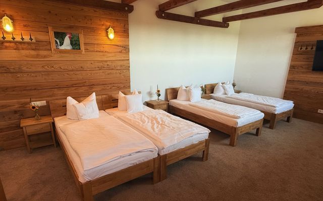 Scheunenzimmer large image 5 - Bauernhofhotel Golchener Hof