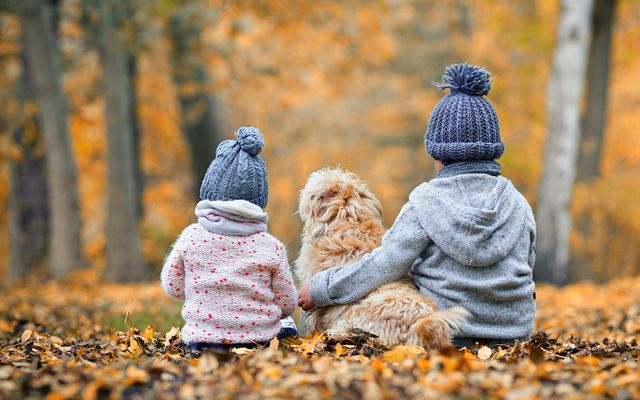 Hund (Ohne Futter) + Reinigungsgebühr - Golchener Hof