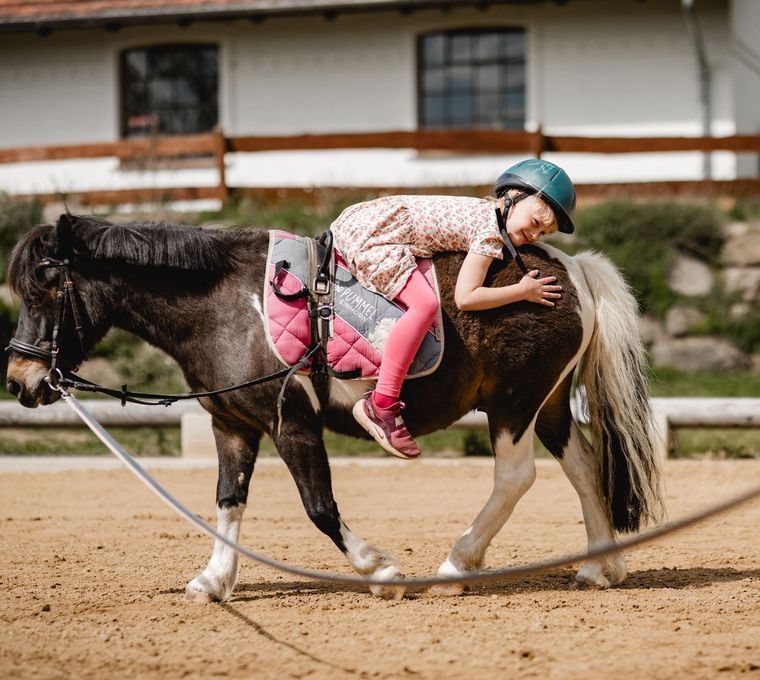 Angebot: Pony & Reiterferien - Golchener Hof