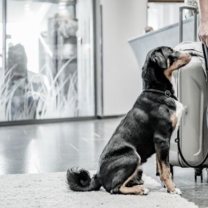 Impressionen #4 - SKI | GOLF | WELLNESS Hotel Riml