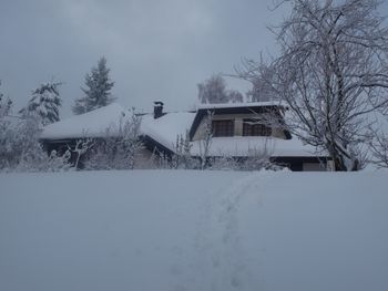 Kiefer Hütte  - Elsass - Frankreich