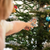 Adventszeit