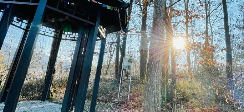 Spirit & SPA Birkenhof am Elfenhain: Last Minute