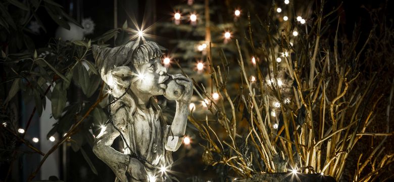 Spirit & SPA Birkenhof am Elfenhain: Adventszauber am Elfenhain