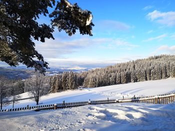 Almhaus Herzstück - Carinthia  - Austria