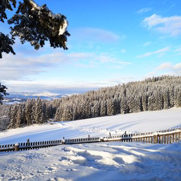 Winter, Almhaus Herzstück, Preitenegg, Lavanttal, Kärnten, Österreich