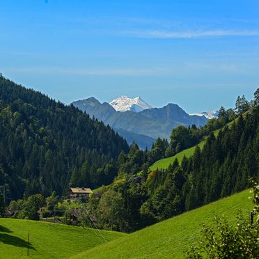 Panorama, Gams Lodge, Goldegg, Salzburg, Salzburg, Österreich