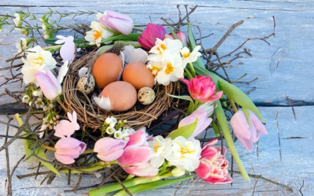 Ostern  image 2 - Familotel Ostsee Hotel Strandkind 