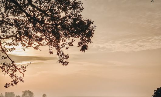 Goldener Oktober für Familien
