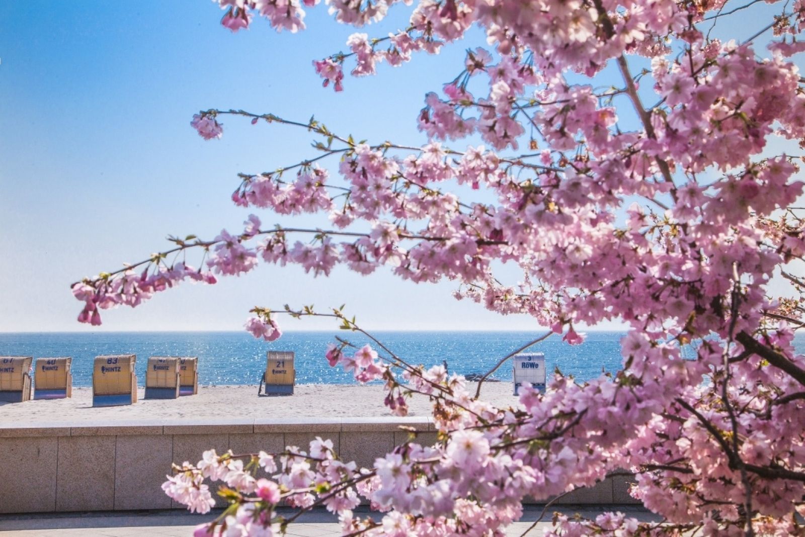 Ostseeglück im Sommer image 3 - Familotel Ostsee Hotel Strandkind 