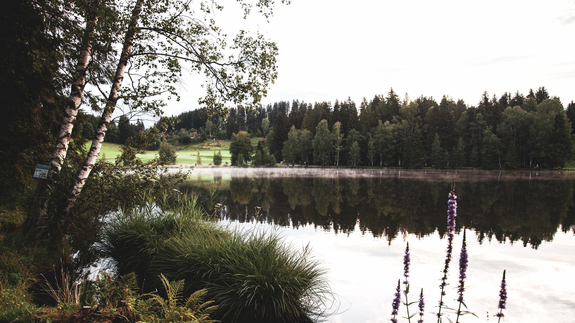 biohotel Bruggerhof See Idylle