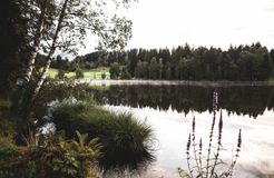 BIO HOTEL Bruggerhof: Schwarzsee - Bruggerhof – Camping, Restaurant, Hotel, Kitzbühel, Tirol, Österreich