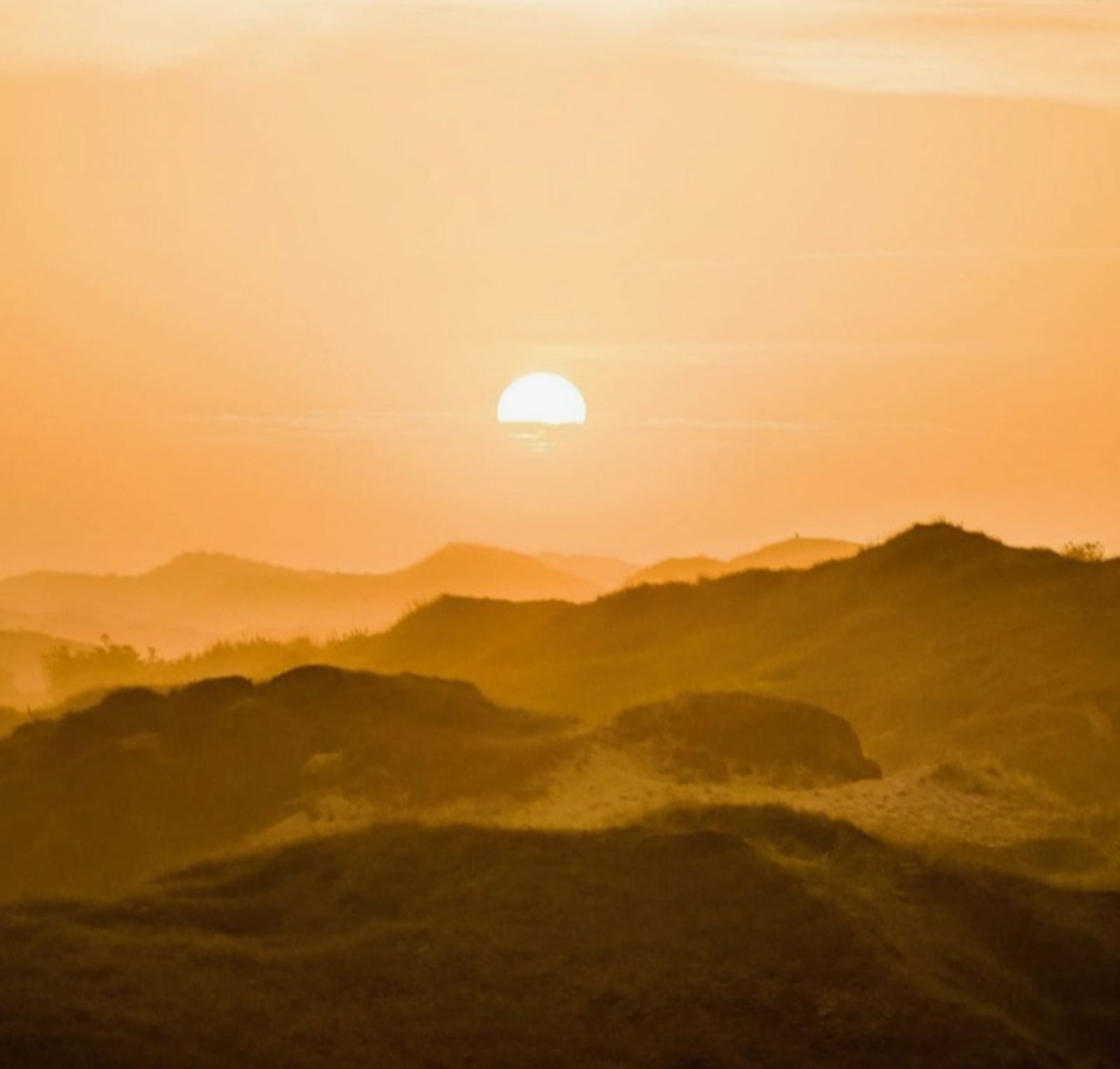 Angebot: Yesvember - Inselhouse 