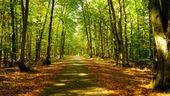 Herbstzauber