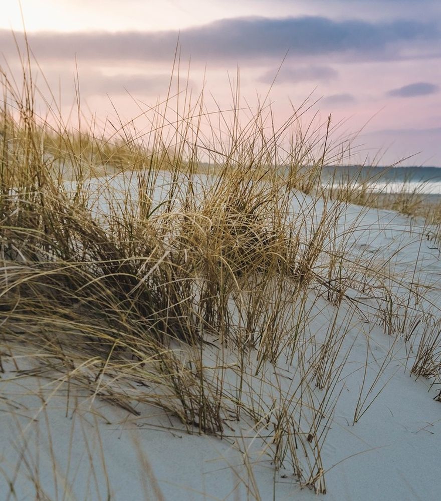 Angebot: Wind und Wetter Wochen 5 ÜN - Strandhotel Seerose