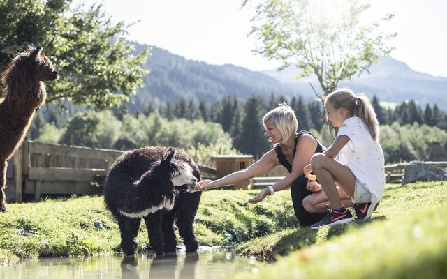 Familotel Südtirol Alphotel Tyrol Wellness & Family Resort: Pfingsten & Sommerstart