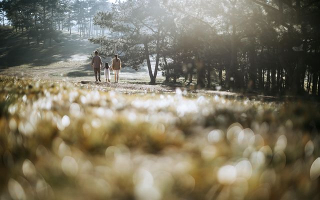 Angebot: Familienzeit im Allgäu - Landhaus Hotel Sommerau GmbH