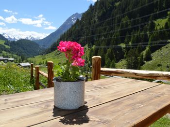 Almhütte Raneburg - Tirol - Österreich