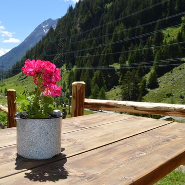 Aussicht, Almhütte Raneburg, Matrei in Osttirol, Osttirol, Tirol, Österreich