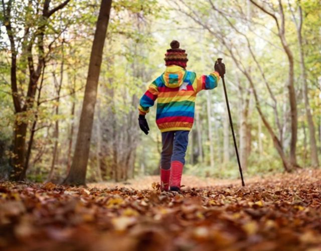 Angebot: BUNTE - HERBST - TAGE - Hotel Tirolerhof