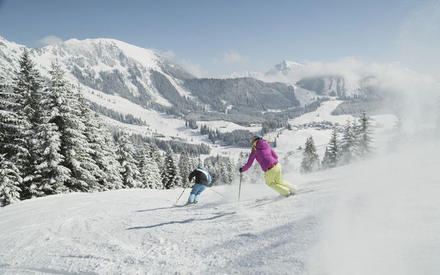 WINTER WONDERLAND image 3 - Familotel Zugspitze Hotel Tirolerhof