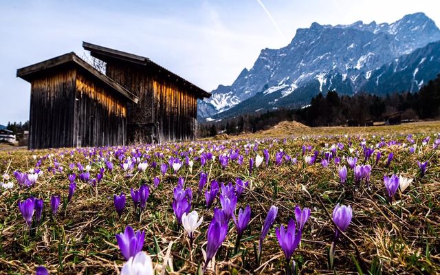 OSTERNEST und Pistengaudi image 2 - Familotel Zugspitze Hotel Tirolerhof