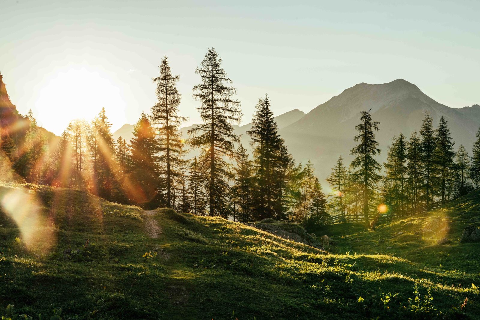 Familien Urlaubsglück in den Bergen image 4 - Familotel Zugspitze Hotel Tirolerhof