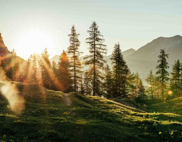 Angebot: BUNTE - HERBST - TAGE - Hotel Tirolerhof