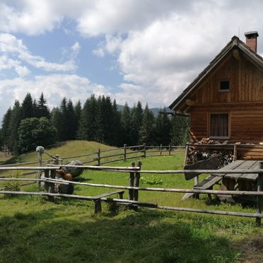 Summer, Puklhube, Bad St. Leonhard, Carinthia , Austria