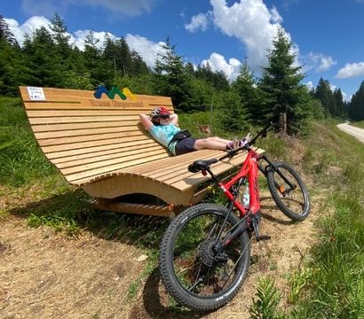 Angebot: E- Bike Urlaub - Wellnesshotel Riedlberg 🌿