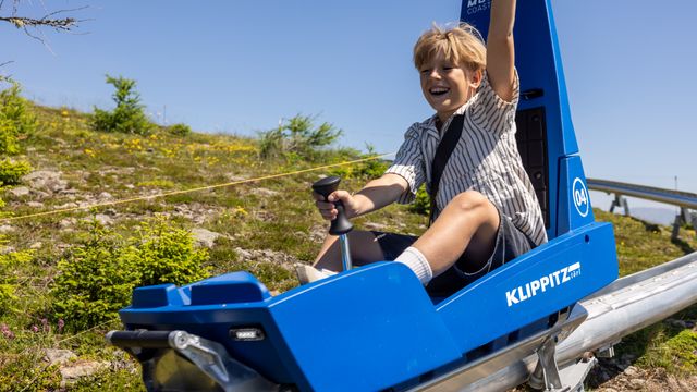 Familien-Erlebnisalmsommer