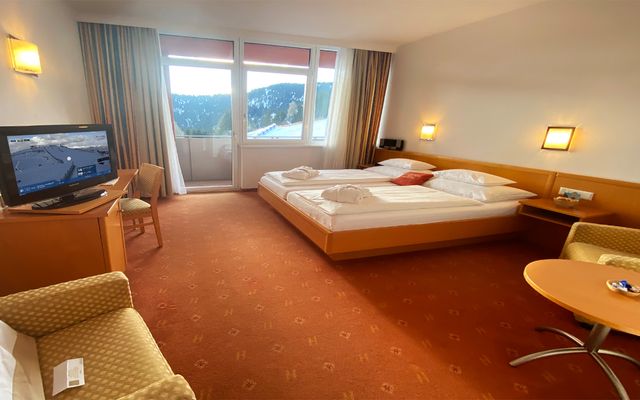 Unterkunft Zimmer/Appartement/Chalet: FS „GEIERKOGEL“ | 26 qm - 1-Raum