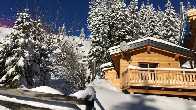 CHALET „WILDBACHHÜTTE DAVID“ | 55 qm - 2-Raum