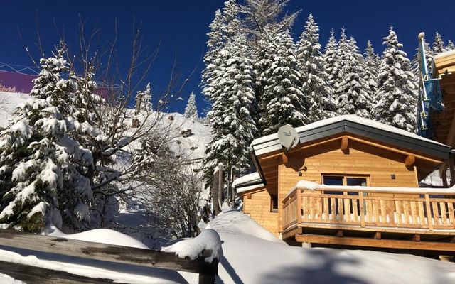 Unterkunft Zimmer/Appartement/Chalet: CHALET „WILDBACHHÜTTE DAVID“ | 55 qm - 3-Raum