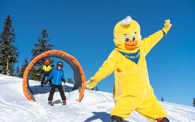 Familotel Kärnten Alpengasthof Hochegger: Winter beim Hochegger
