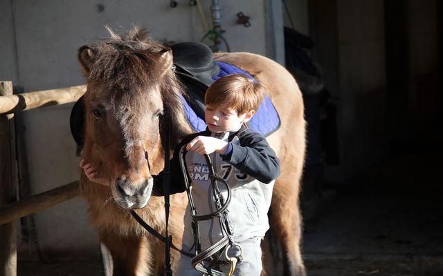 Herbstschnäppchen  image 2 - Familotel Steiermark Der Ponyhof – Familienhotel und Reiterparadies