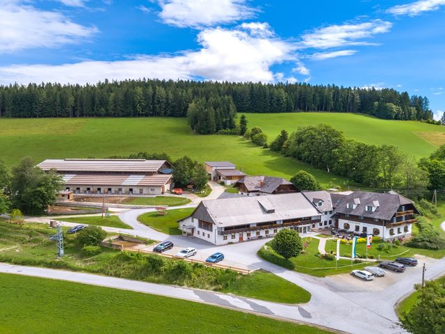 Familotel Steiermark Der Ponyhof – Familienhotel und Reiterparadies in Ratten, Steiermark, Steiermark, Österreich